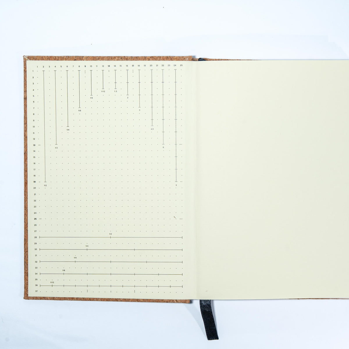 A5 cork bullet journal flat lay with dot-grid pages open with guide